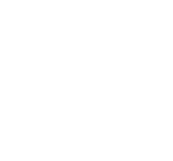 魁